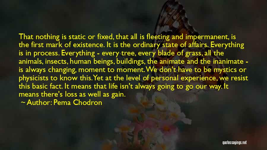 Everything Going Well Quotes By Pema Chodron