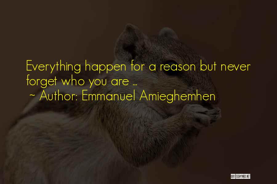 Everything Happen For A Reason Quotes By Emmanuel Amieghemhen