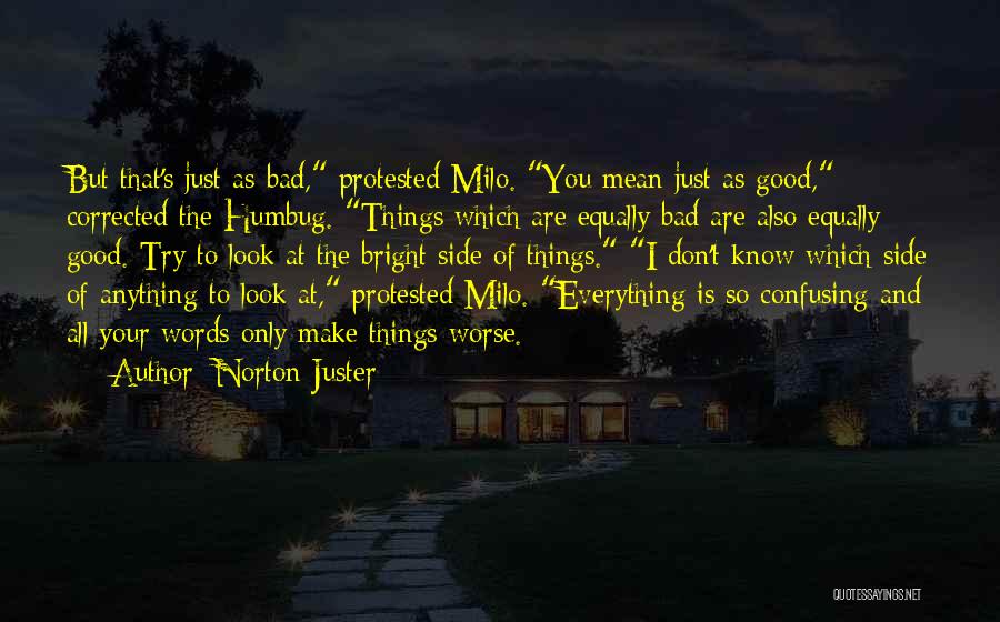 Everything Has A Bright Side Quotes By Norton Juster