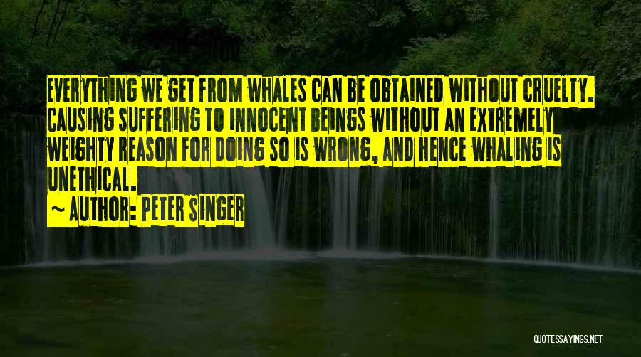 Everything Has Gone Wrong Quotes By Peter Singer