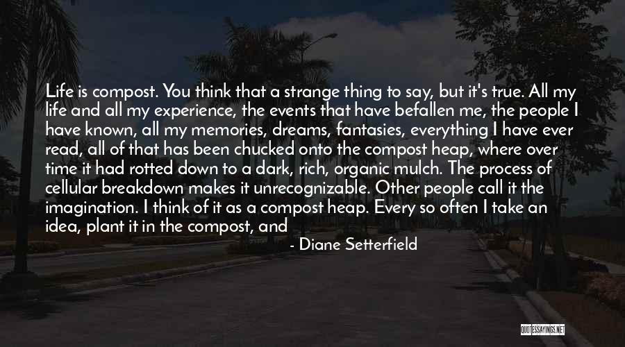 Everything Has Its Own Time Quotes By Diane Setterfield