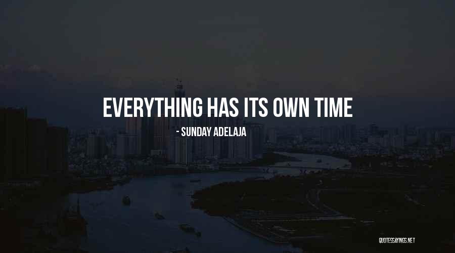 Everything Has Its Own Time Quotes By Sunday Adelaja