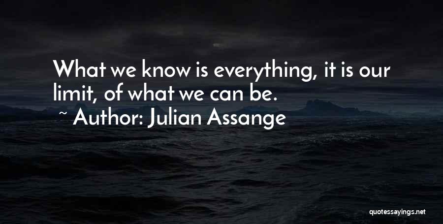 Everything Has Limit Quotes By Julian Assange