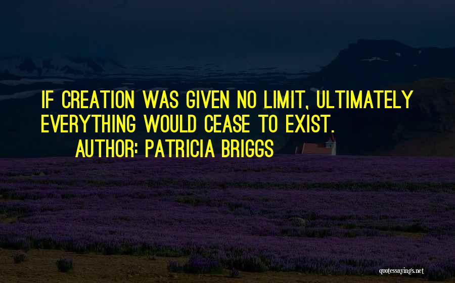 Everything Has Limit Quotes By Patricia Briggs