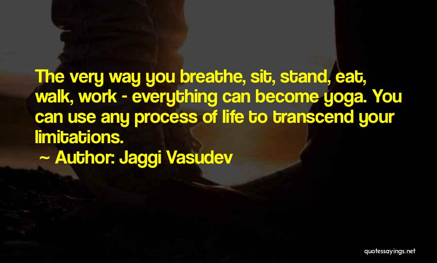 Everything Has Limitations Quotes By Jaggi Vasudev