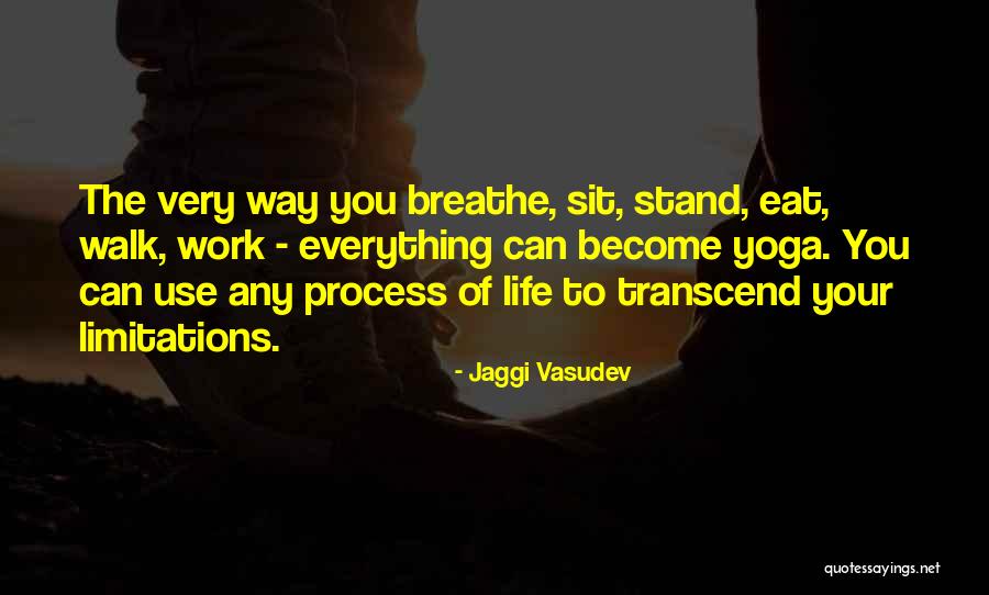 Everything Has Limitations Quotes By Jaggi Vasudev