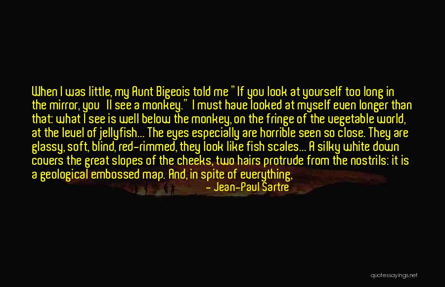 Everything I Have Quotes By Jean-Paul Sartre Everything I Have Quotes By Jean-Paul Sartre