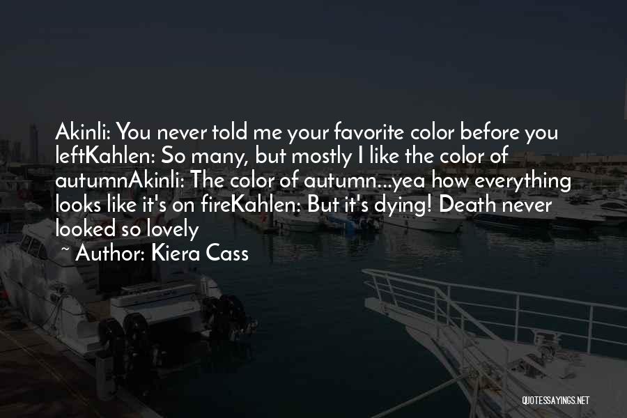 Everything I Never Told You Quotes By Kiera Cass