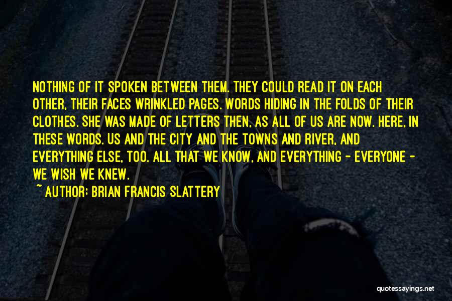 Everything In Between Quotes By Brian Francis Slattery