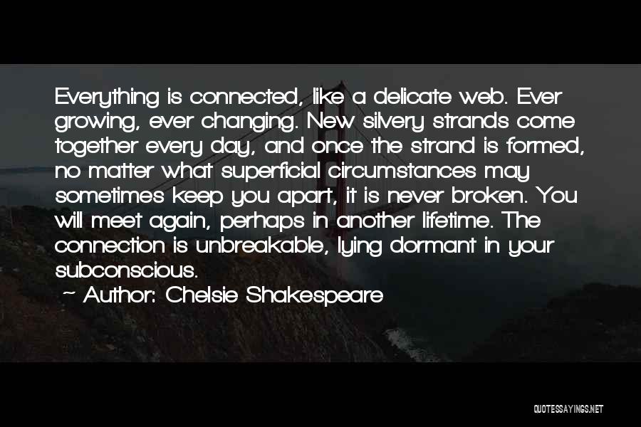 Everything In Life Is Connected Quotes By Chelsie Shakespeare