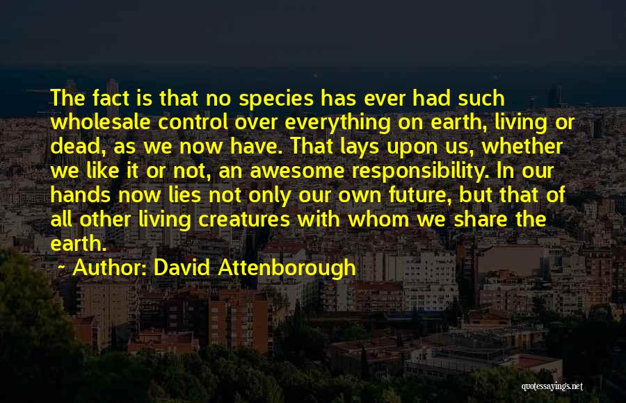 Everything Is Awesome Quotes By David Attenborough