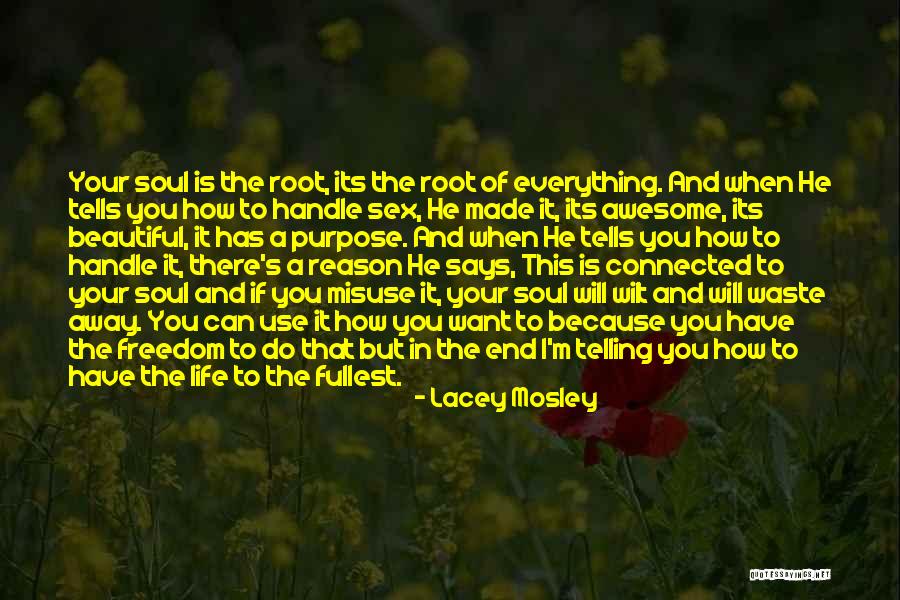Everything Is Beautiful Quotes By Lacey Mosley Everything Is Beautiful Quotes By Lacey Mosley