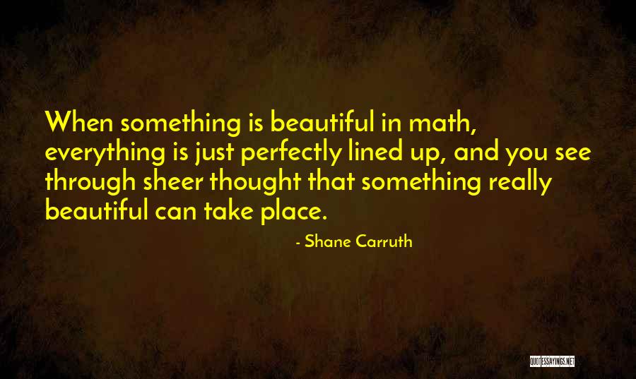 Everything Is Beautiful Quotes By Shane Carruth Everything Is Beautiful Quotes By Shane Carruth