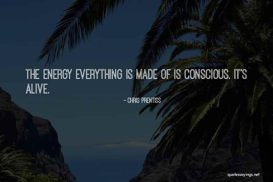 Everything Is Energy Quotes By Chris Prentiss