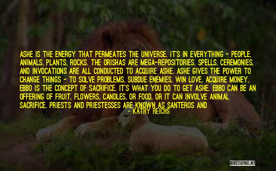 Everything Is Energy Quotes By Kathy Reichs