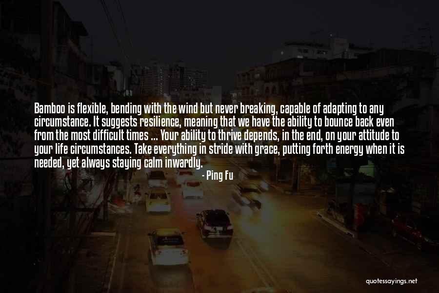 Everything Is Energy Quotes By Ping Fu Everything Is Energy Quotes By Ping Fu