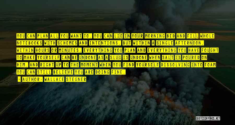 Everything Is Going To Be Just Fine Quotes By Wallace Stegner