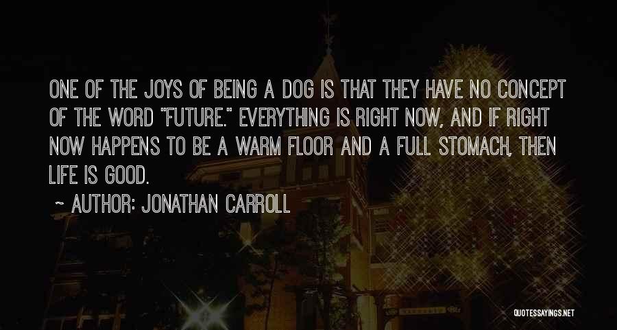 Everything Is Good Now Quotes By Jonathan Carroll