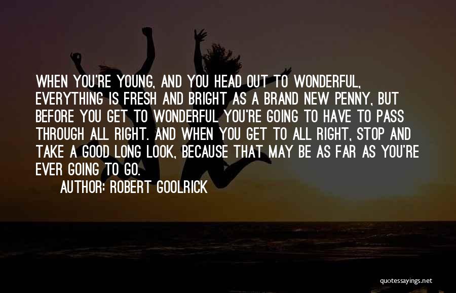Everything Is Good Quotes By Robert Goolrick