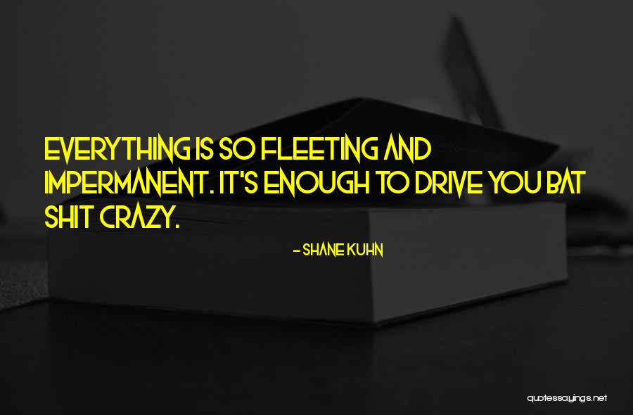 Everything Is Impermanent Quotes By Shane Kuhn
