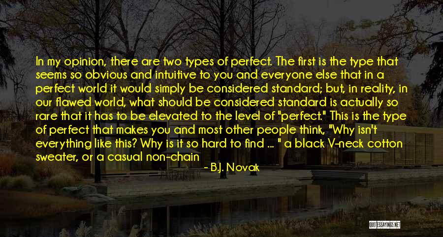 Everything Is Just Perfect Quotes By B.J. Novak