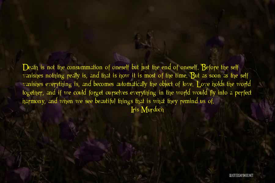 Everything Is Just Perfect Quotes By Iris Murdoch