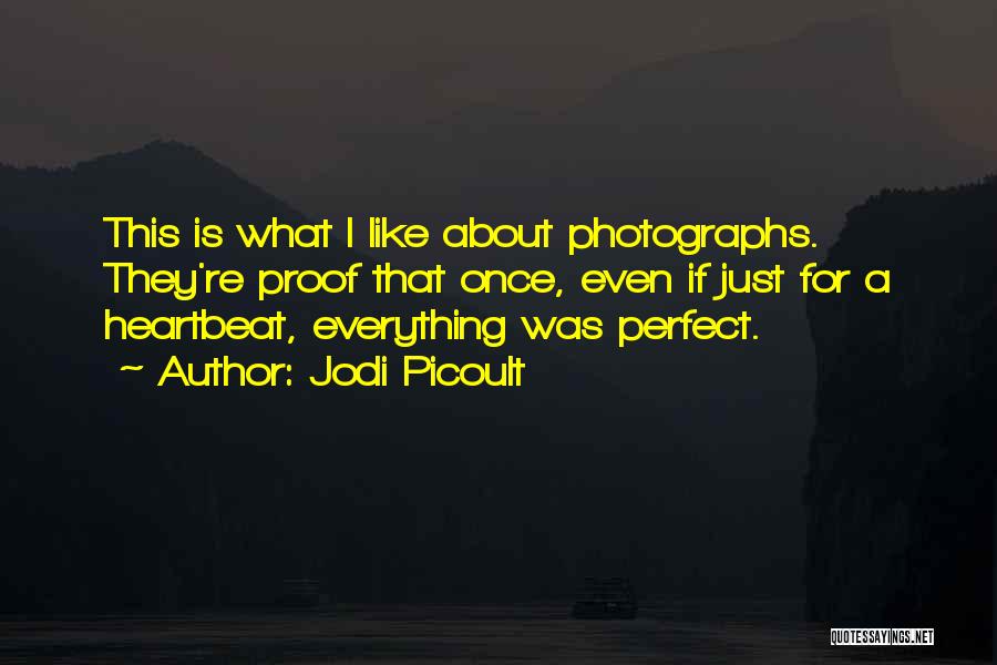 Everything Is Just Perfect Quotes By Jodi Picoult