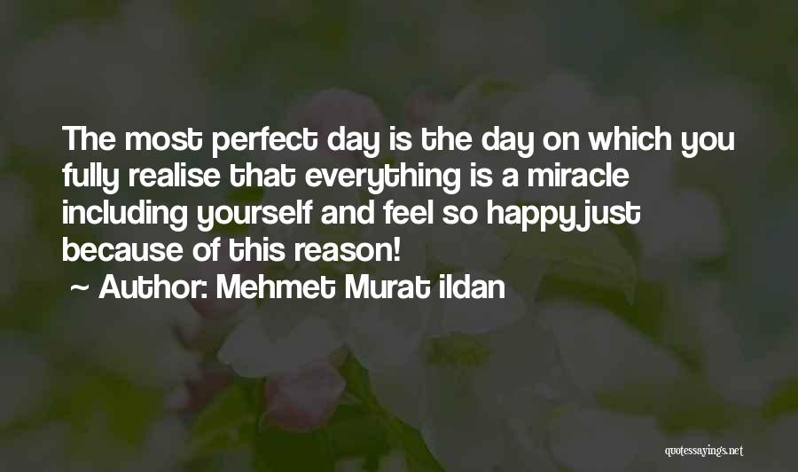 Everything Is Just Perfect Quotes By Mehmet Murat Ildan