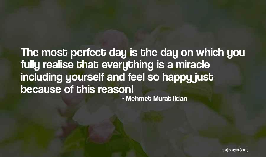 Everything Is Just Perfect Quotes By Mehmet Murat Ildan