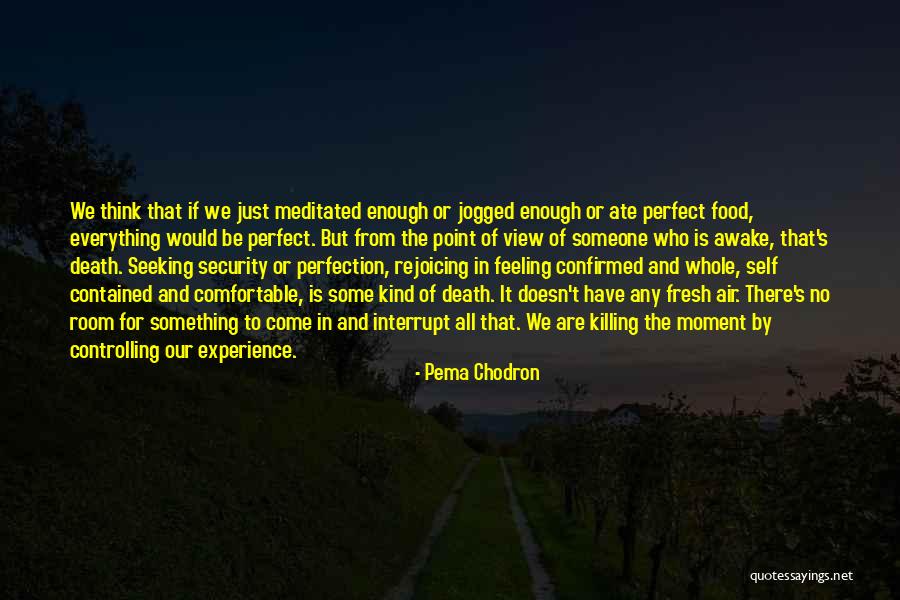 Everything Is Just Perfect Quotes By Pema Chodron