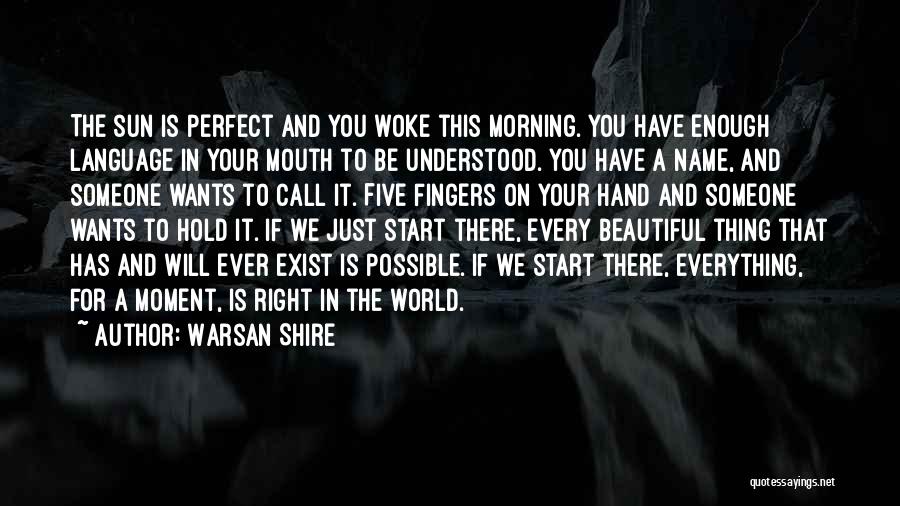 Everything Is Just Perfect Quotes By Warsan Shire