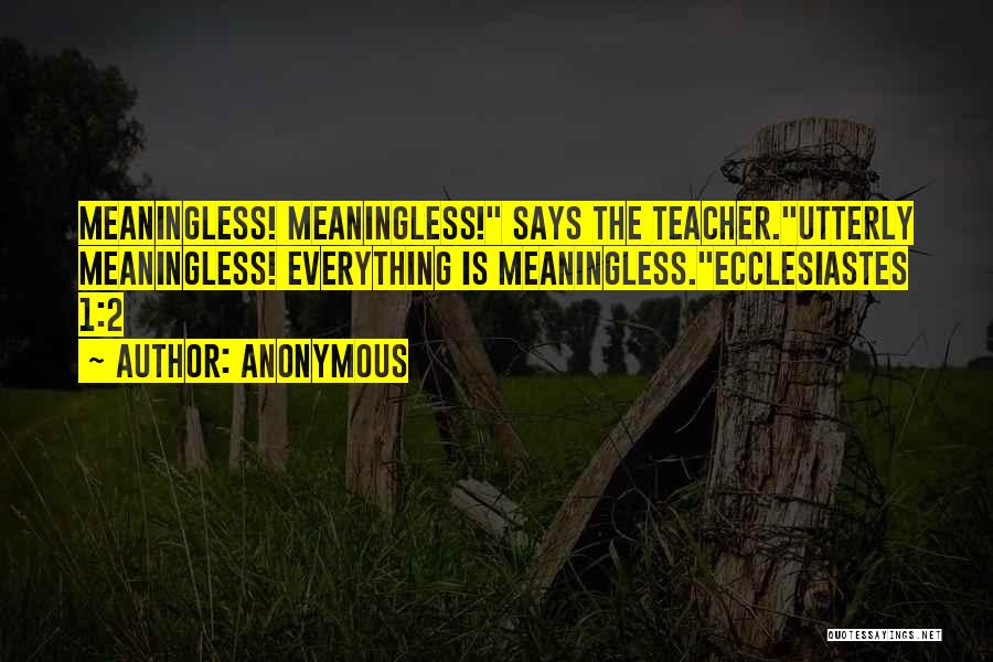 Everything Is Meaningless Quotes By Anonymous