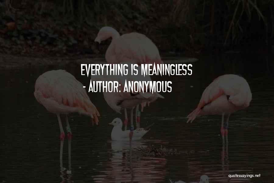 Everything Is Meaningless Quotes By Anonymous