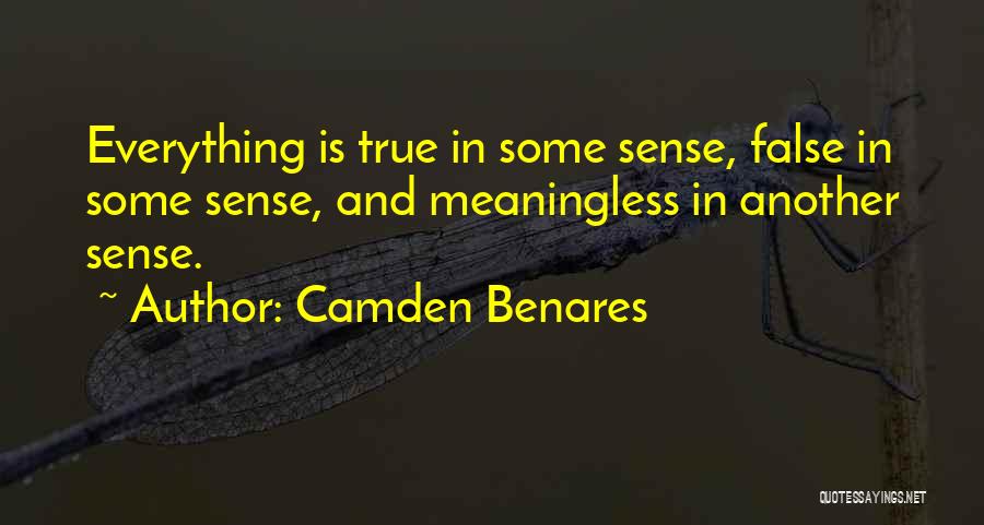 Everything Is Meaningless Quotes By Camden Benares