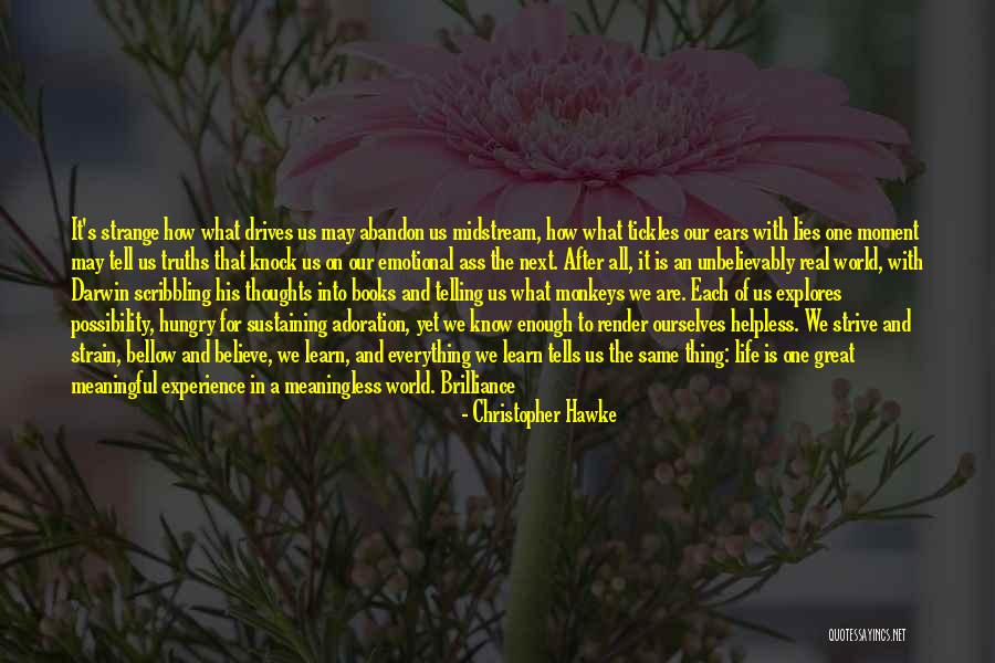 Everything Is Meaningless Quotes By Christopher Hawke Everything Is Meaningless Quotes By Christopher Hawke