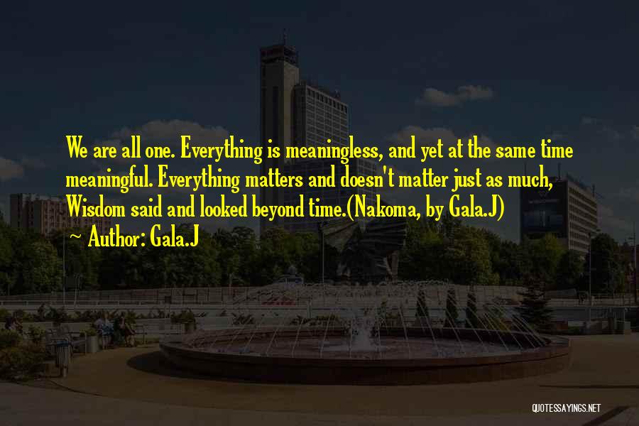 Everything Is Meaningless Quotes By Gala.J