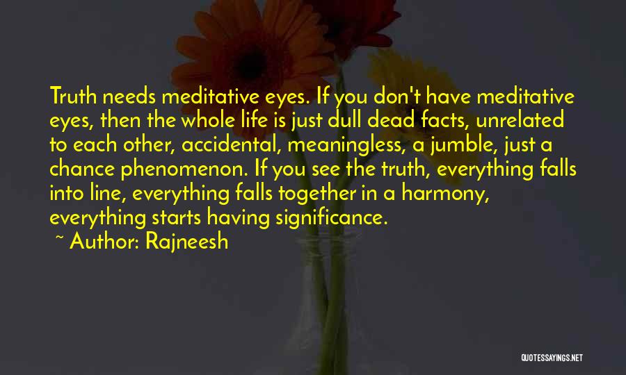 Everything Is Meaningless Quotes By Rajneesh