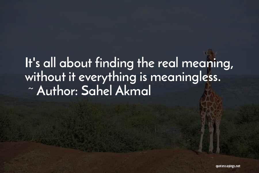 Everything Is Meaningless Quotes By Sahel Akmal