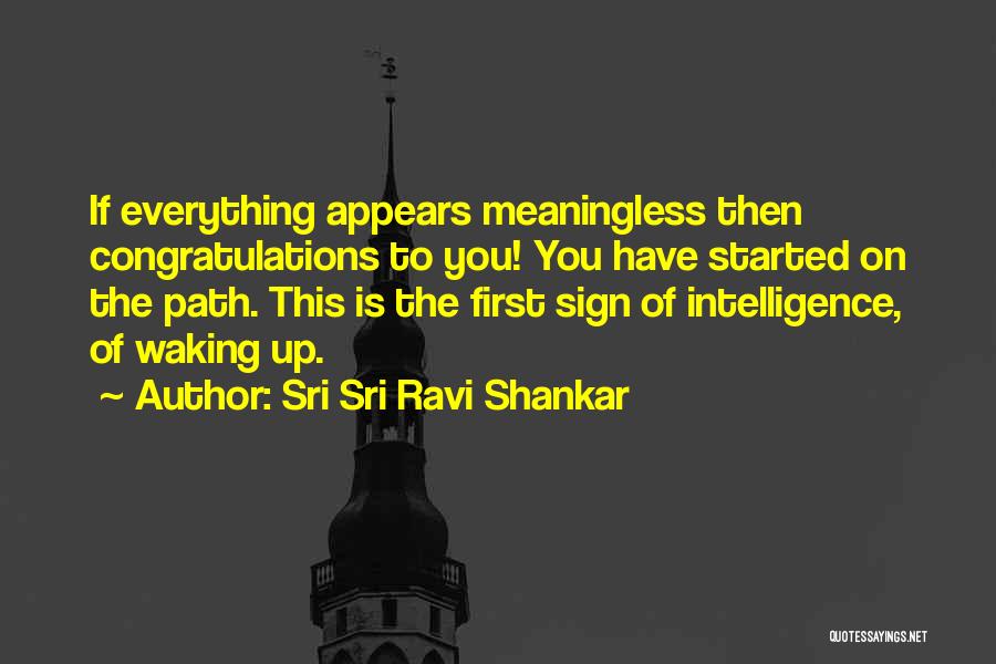 Everything Is Meaningless Quotes By Sri Sri Ravi Shankar