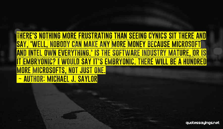 Everything Is Not Money Quotes By Michael J. Saylor