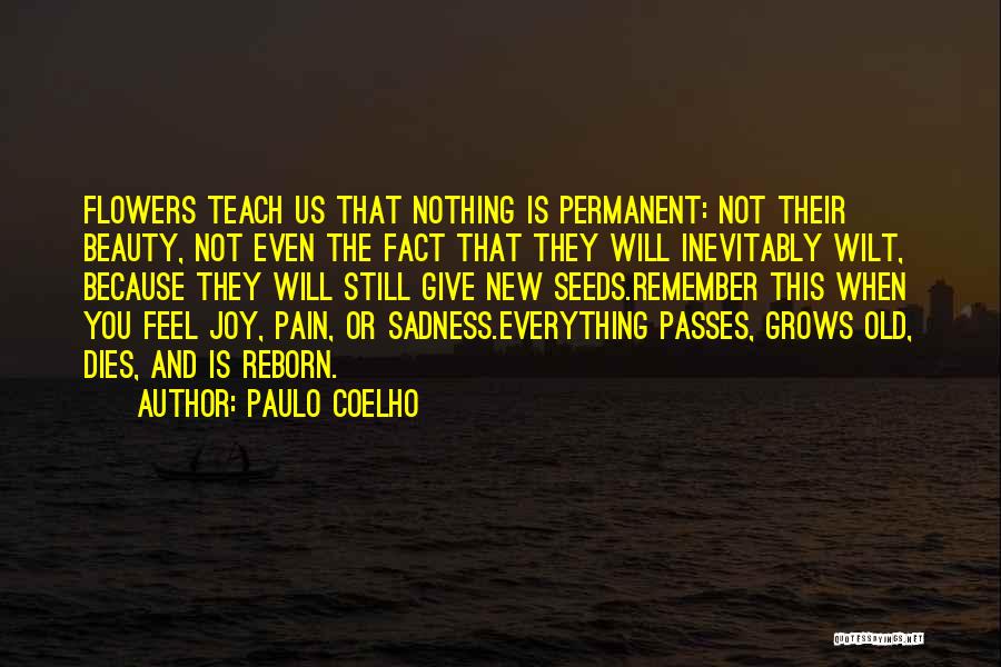 Everything Is Not Permanent Quotes By Paulo Coelho