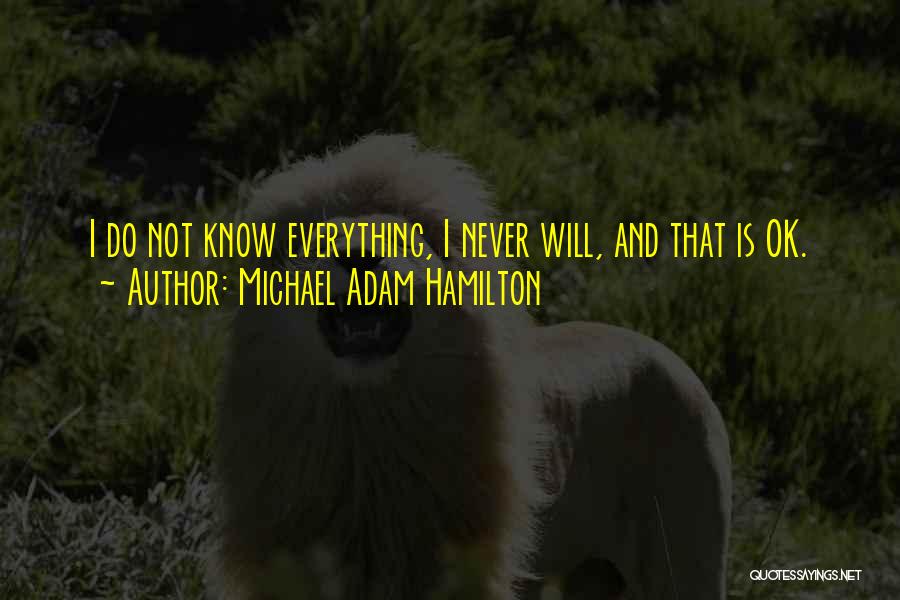 Everything Is Ok Quotes By Michael Adam Hamilton