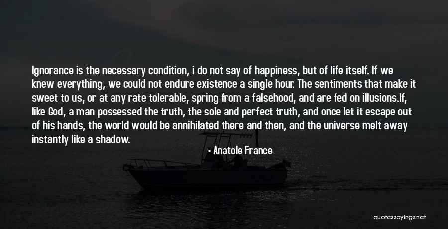 Everything Is Perfect Quotes By Anatole France