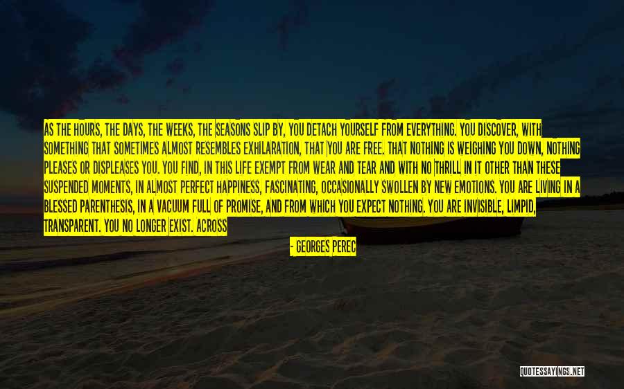 Everything Is Perfect Quotes By Georges Perec Everything Is Perfect Quotes By Georges Perec