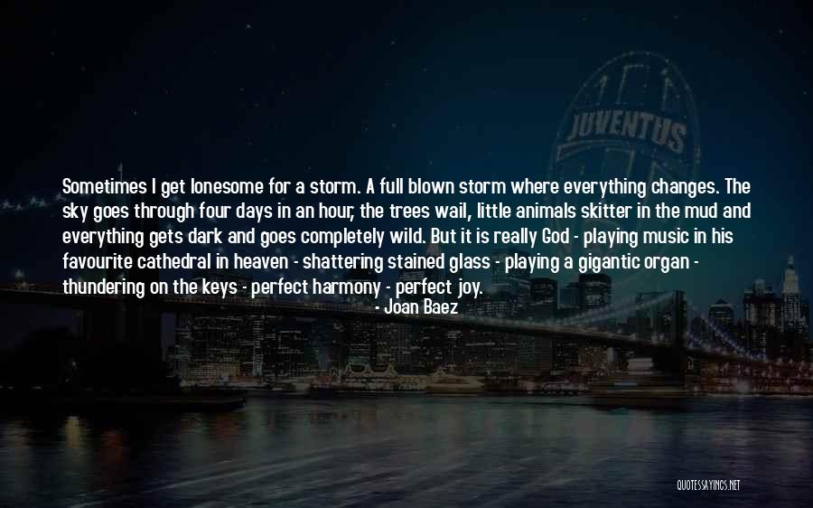 Everything Is Perfect Quotes By Joan Baez Everything Is Perfect Quotes By Joan Baez