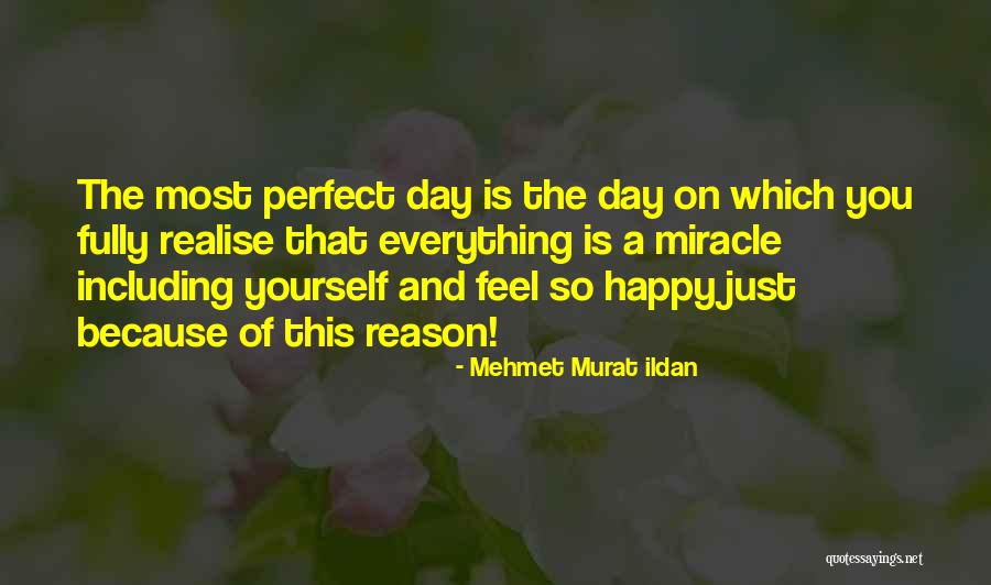 Everything Is Perfect Quotes By Mehmet Murat Ildan