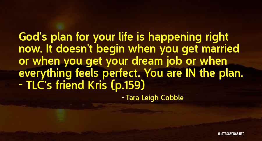 Everything Is Perfect Quotes By Tara Leigh Cobble