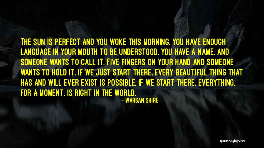 Everything Is Perfect Quotes By Warsan Shire