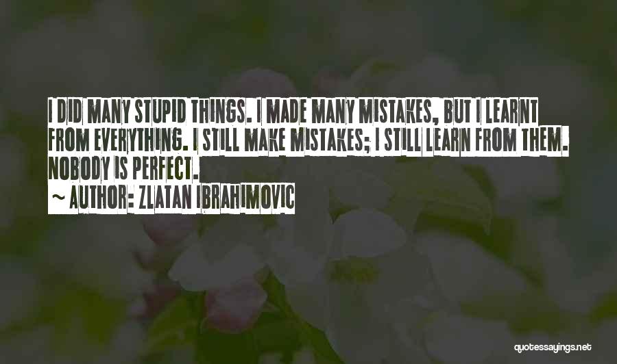 Everything Is Perfect Quotes By Zlatan Ibrahimovic