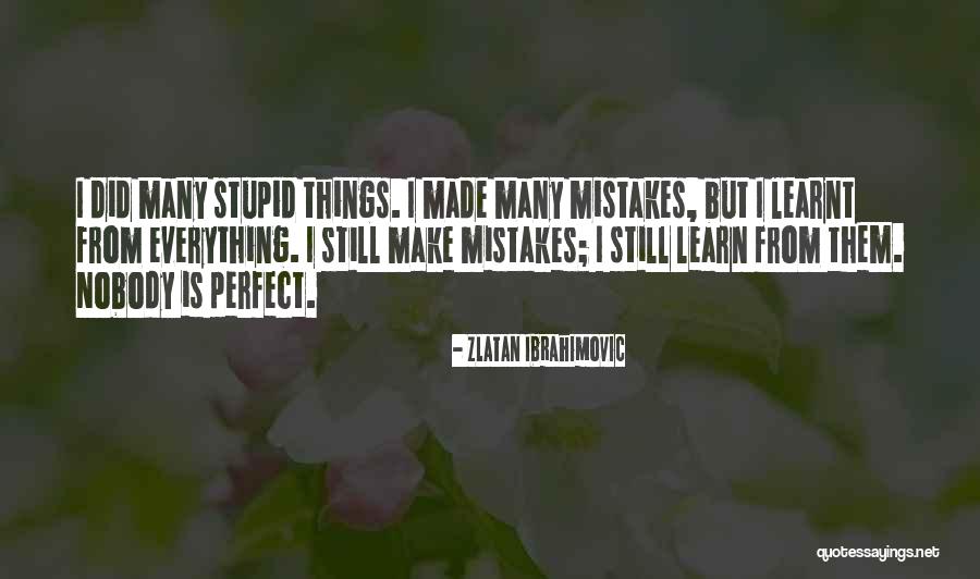 Everything Is Perfect Quotes By Zlatan Ibrahimovic